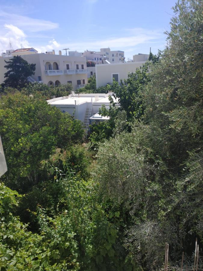 Enalion-Tinos Bed and Breakfast Exteriör bild