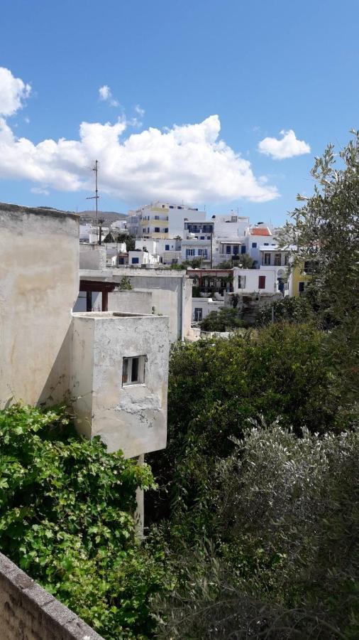 Enalion-Tinos Bed and Breakfast Exteriör bild